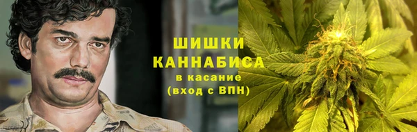 дурь Бронницы