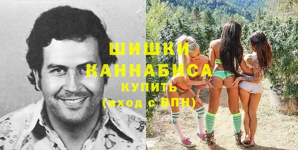 дурь Бронницы