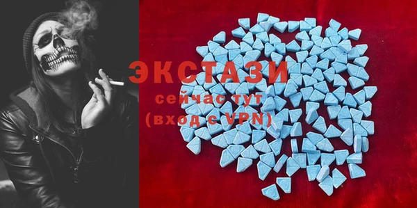 ECSTASY Бородино