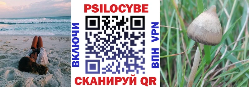 блэк спрут tor  Ковдор  Псилоцибиновые грибы Psilocybine cubensis 